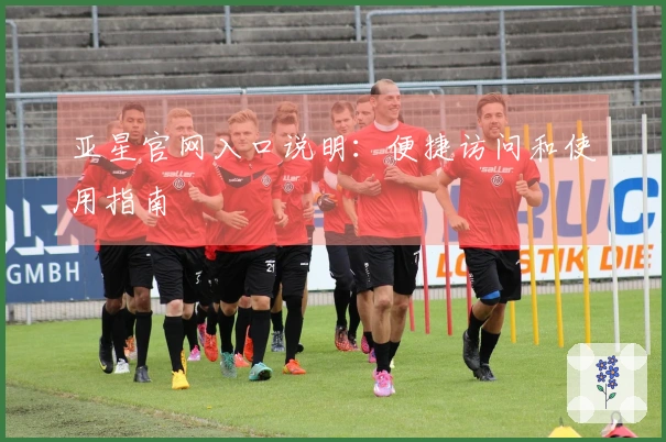 亚星官网入口说明：便捷访问和使用指南