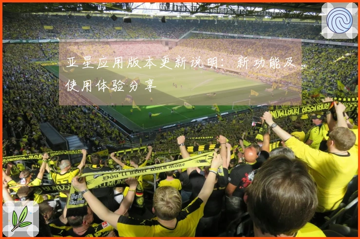 亚星应用版本更新说明：新功能及使用体验分享