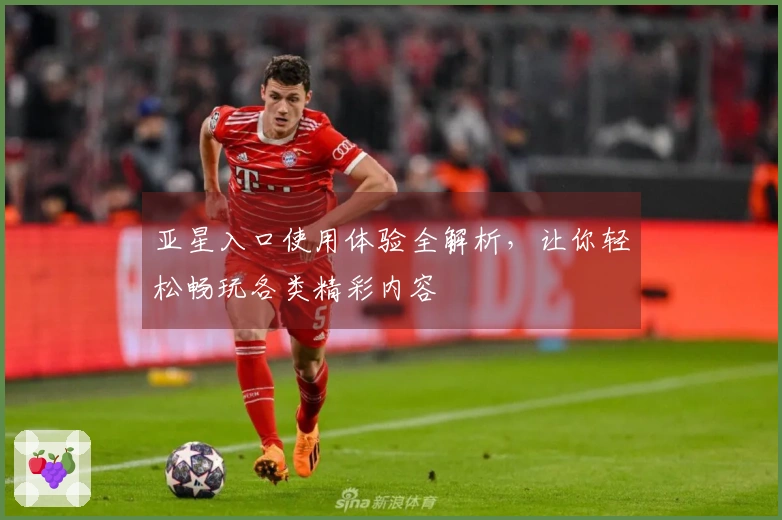 亚星入口使用体验全解析，让你轻松畅玩各类精彩内容